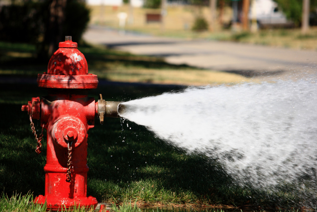 drinking-from-fire-hydrants-susan-d-hill